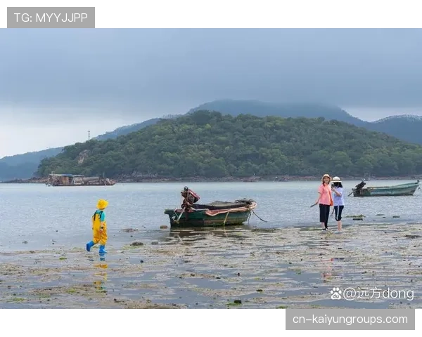 台风过后惠州海滩，赶海人的欢乐时光，惠州海边能赶海吗